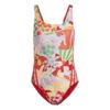 Womens/Ladies Graphic Farm Printed One Piece Swimsuit