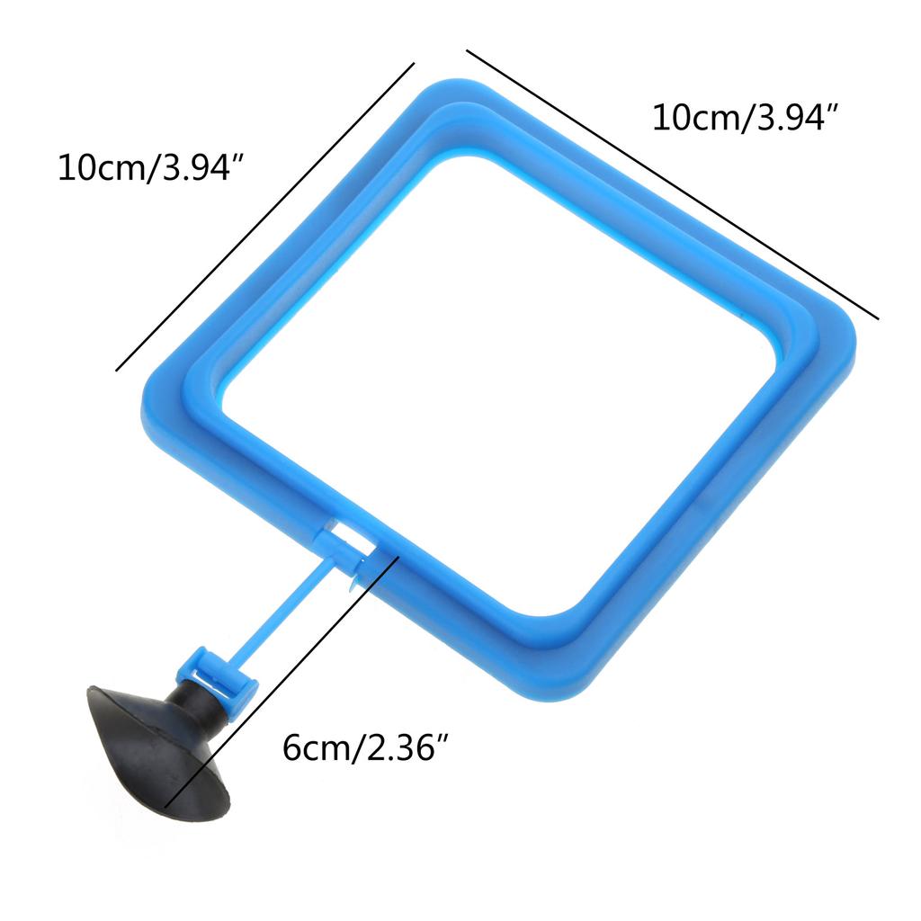 Anneau d'alimentation pour poissons rouges, mangeoire flottante sûre pour aquarium, cercles suspendus carrés ou ronds avec ventouses