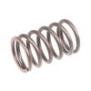 Valve Spring Rato Engine R440 12103-Z710110-0000