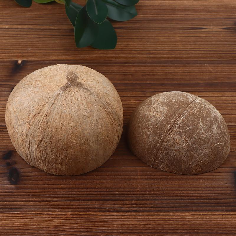 Coconut Shells Hut Reptile Hideouts Shelter Hide Breeding Hermit Ornament House Growth For Aquarium Decor