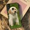 Golden Retriever Dog For Huawei Nova 9 10 SE 3i 7i 8i 11i 12i Y60 Y61 Y70 Y72 Y73 Y90 Y91 P20 P30 P40 Lite Case