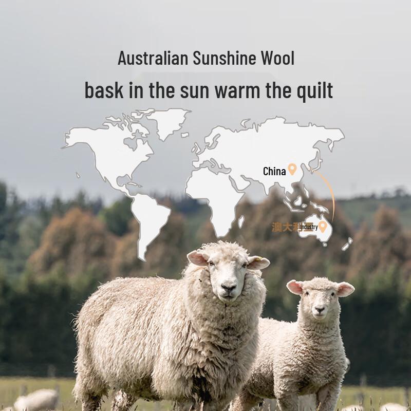LOVO Australian Wool Quilt