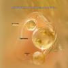 AFU 11-Seed Brightening & Firming Essence Oil Honey Mask
