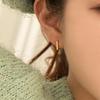 Small Window Earring