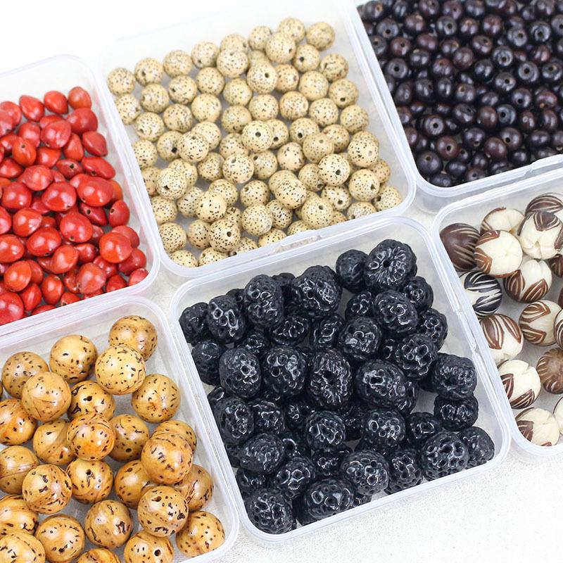 Vajra Star Moon Bodhi Beads - Raw Loose Beads for Handmade DIY Jewelry