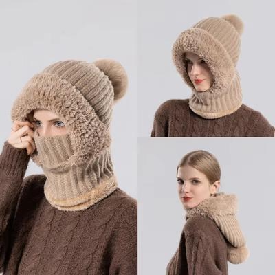 Warm Pullover Cap Pompom Hooded Hat New Ear Protection Hat Women