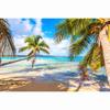 Summer Beach Waves Palm Trees Blue Sky Sunrise Ocean Theme Backdrop, Birthday Party, Home Decoration Photography Backdrop Cloth
