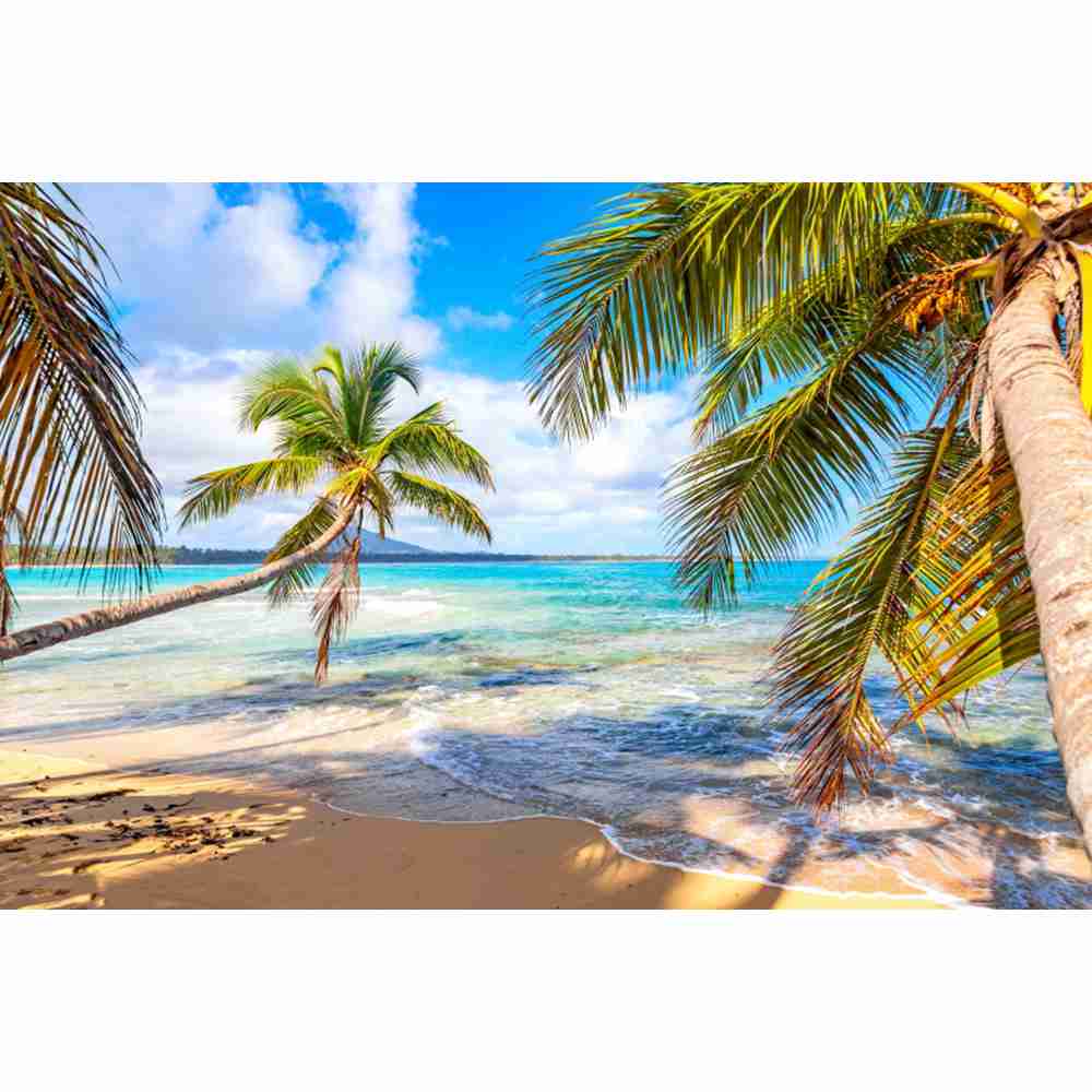 Summer Beach Waves Palm Trees Blue Sky Sunrise Ocean Theme Backdrop, Birthday Party, Home Decoration Photography Backdrop Cloth