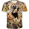 Summer 3D Print Funny Cats T Shirt Men Galaxy Cat Graphic Short Sleeve Personality Casual O-neck Street Round Neck Tees Clothes