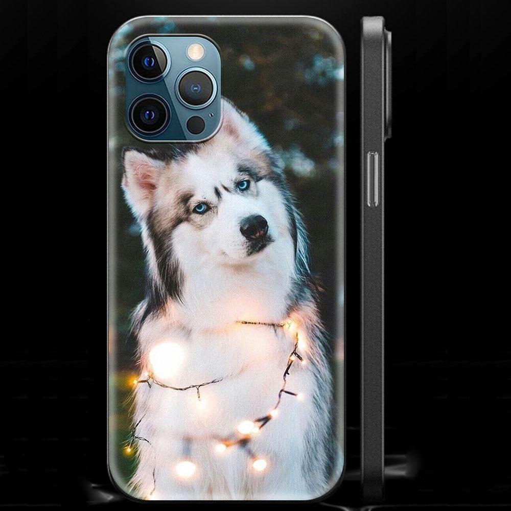 Alaskan Husky Hund Niedlicher Welpe Luxus Handyhülle für iPhone 13 15 14 12 11 Pro MAX XR X SE XS 7 8 Plus Silikon Schwarz Matt Hülle