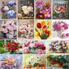 5D Diamond Painting Beautiful Flower Rhinestone Picture Kit Full Diamond Embroidery Mosaic Gift DIY Home Decoration