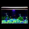100Pcs/Bag Mixed Color Outdoor Luminous Stones Glow In Dark Garden Pebbles