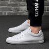 Outdoor Casual Men's Lace-Up Sports Shoe Comfortable And Classic Low-Top Flat Shoe Versatile Durable And Anti-Slip Walking Shoes