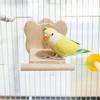 Bird Feeder Perch with Feeding Cup Playing Easy Installation Wooden Stand Hanging