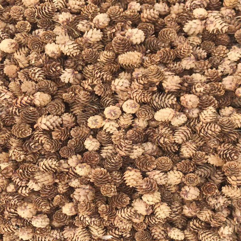 Dried Pine Cones 2-3cm - DIY Christmas Ornaments & Decorations