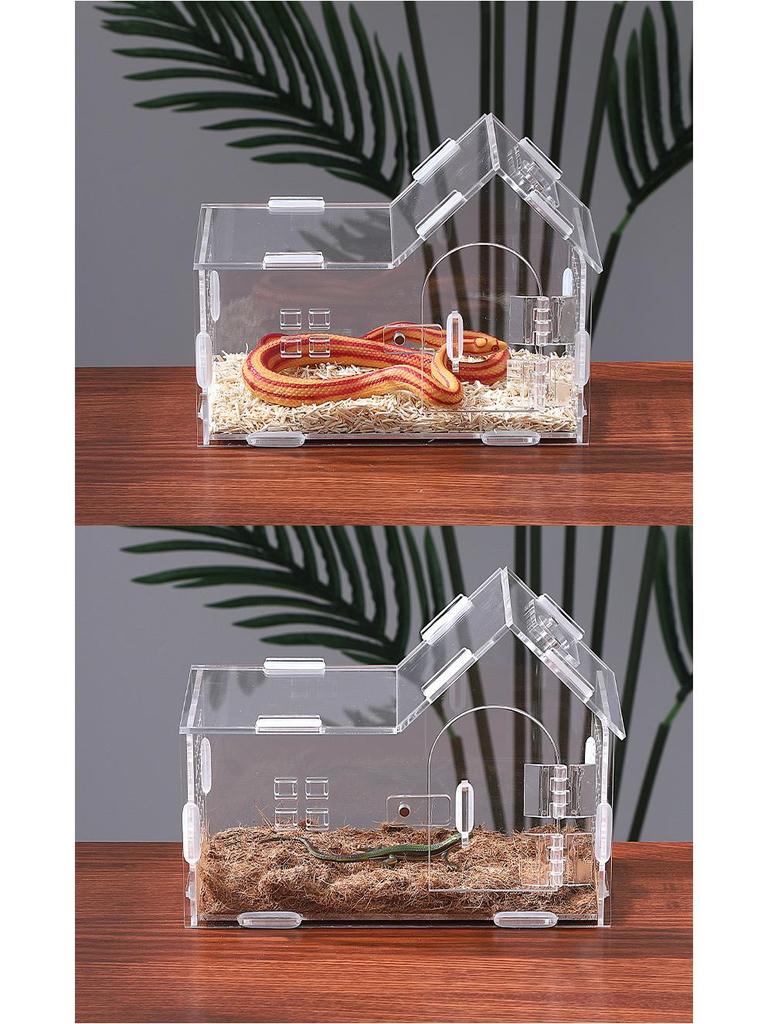 Habitat Mic pentru Reptile din Acril: Cutie de observație transparentă pentru păianjen, șopârlă, mantișcă și peisaj de pădure tropicală