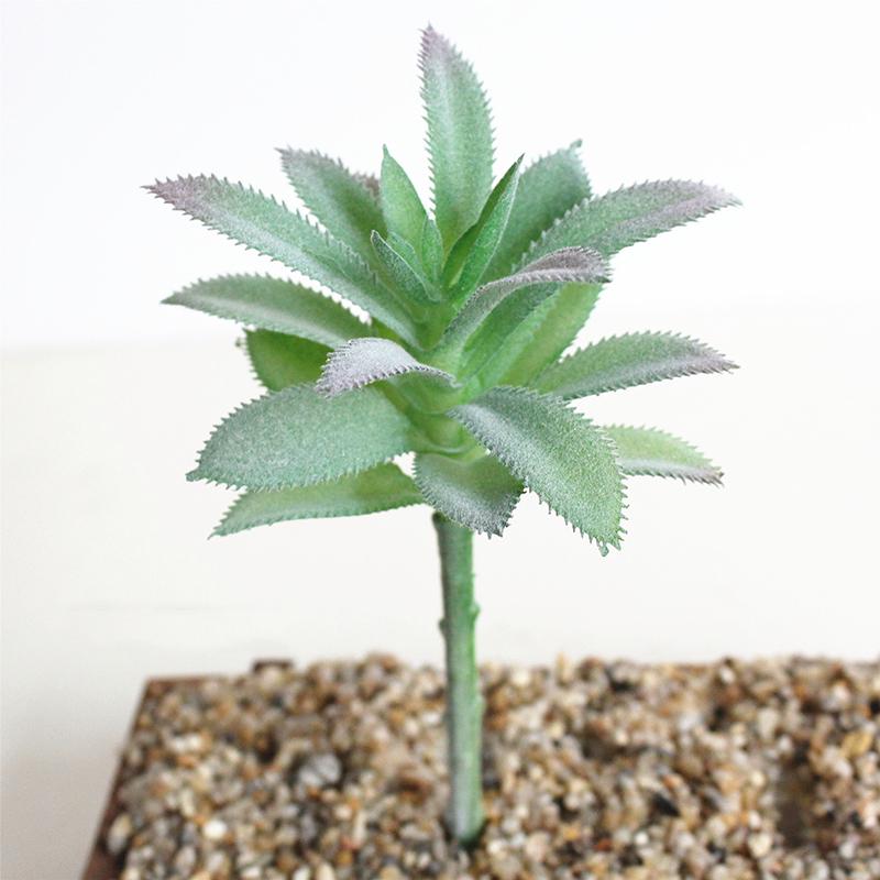 Artifical Plastic Succulent Plant Cactus Echeveria Flower Home Office Decor Gift