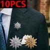 10pcs/set Star Brooch Fashion Luxury Men Lapel Button Suit Corsage Badge Shirt Collar Zircon Brooches Clothing Accosseries Jewelry Gifts