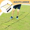 5m 10 Sections Agility Ladder Quick Ladder for Training Storage Bag Included Instant Set-up Exerciser for Sports Tennis Soccer