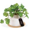 Mini Monstera Artificial Faux Never Air Plant, Greenery, Withers, Catalyst, Deodorizing, Antibacterial, Purifying, KH-61253