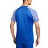 Dri Fit Academy T-shirt Heren Blauw IB8761-450