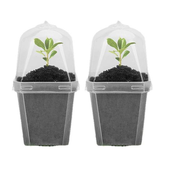 Ghivece transparente pentru pepinieră din plastic, reutilizabile, pentru răsaduri, cu cupolă de umiditate, 7,5 cm, ghivece mici de grădinărit pentru suculente, ierburi, răsaduri, butași