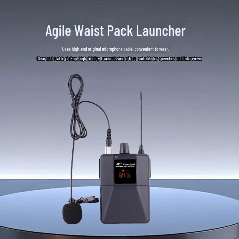 HuiDu U-1302T Dual Wireless Headset Microphone System (CN Version)