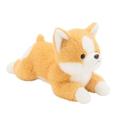Hyack Corgi Plüschhund Niedliches Körperkissen Realistisch Flauschig Geschenk Tier Niedlich (Corgi) [Produkt]