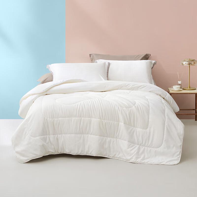 LUOLAI Soft Hollow Fiber All-Season Duvet Insert