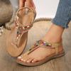 Mode Boheemse Stijl Platte Sandalen voor Dames Clip Teen Sandalen vrouw Retro Zomer Casual Strand Schoenen 2024