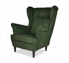 ARI Scandinavian Wing Chair - Green Braid, Resistant
