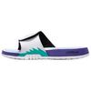 Air Hydro 5 Retro Slide Grape 2025 Men Sneakers White New-Emerald Grape-Ice 555501-103