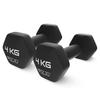 4FIZJO Classic Dumbbells for Exercises, 2 Pcs, 4 Kg