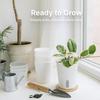 Self Watering Plant Pots Small White Planter with Reservoir Translucent Inner Pot Cotton Wick Planters for Violet Cuttings Seedlings