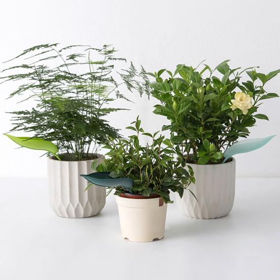 12 Pcs Flower Waterer Leaf Shaped Self Watering Planter Insert Watering Spikes Easy To Use Automatic Plant Waterer for Indoor Outdoor Potted Plants