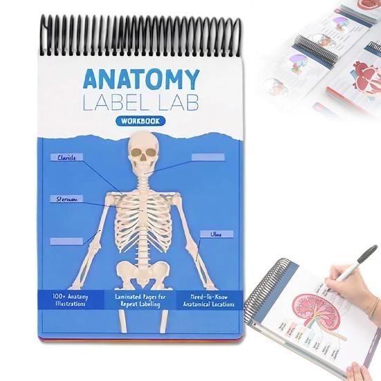 Anatomy Label Lab Workbook Human Anatomy Illustrations Workbook 100+ Full-Color Dry-Erase Pages Educational Resource for Students Professionals