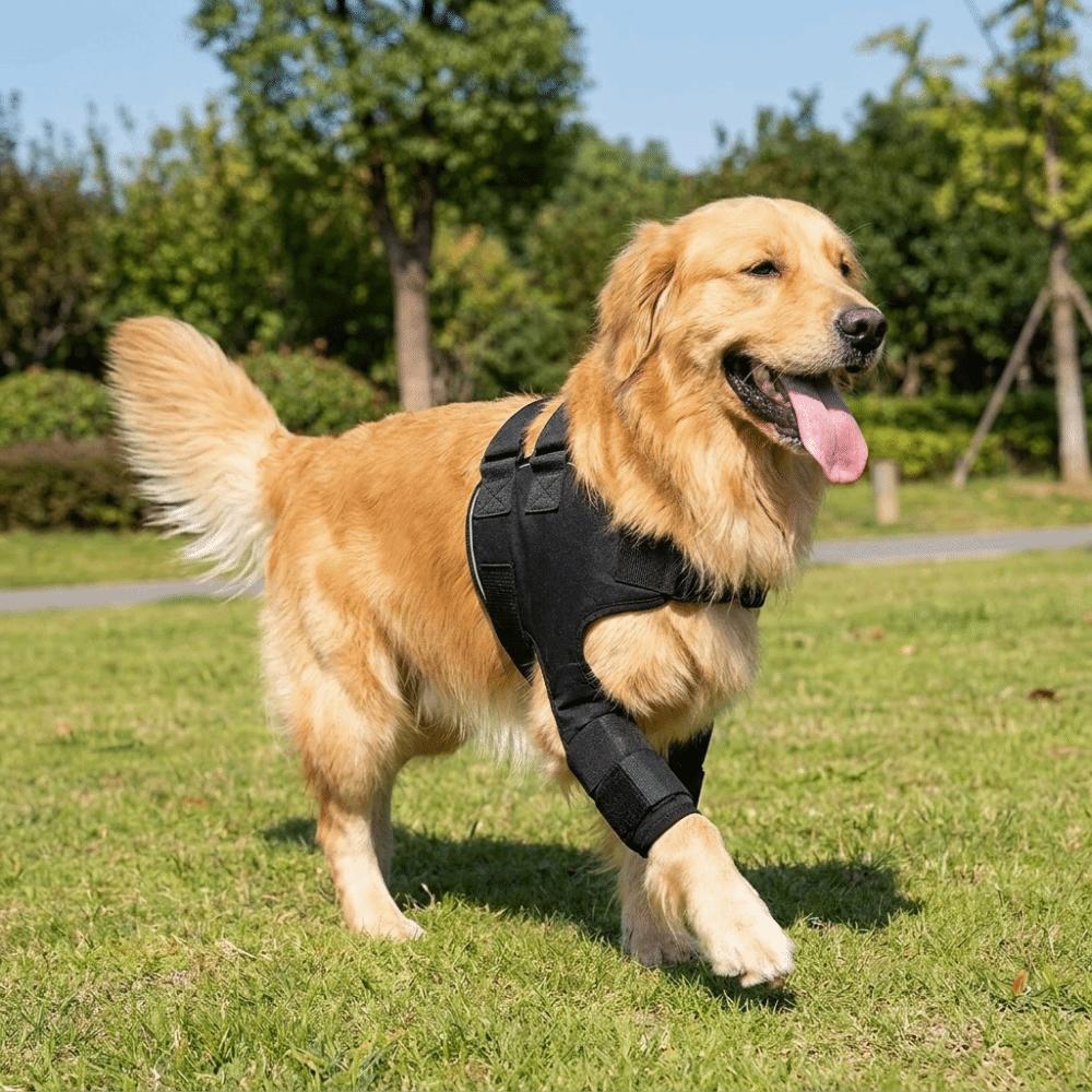 Self-Heating Dog Shoulder Warmers Breathable Dog Joint Protection Sleeve  Walking