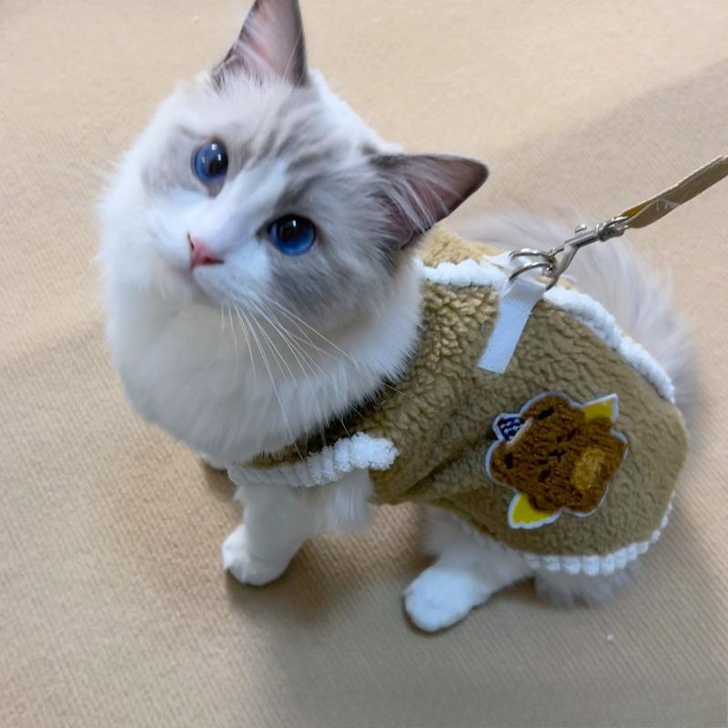 Winter and Autumn Thick and Warm Pet Dog and Cat Clothes, Suitable for Walking, Festive New Year Decoration
