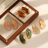 New Resin Amber Stainless Steel Earrings and Earrings with Fashionable Temperament, Retro Maillard Style Titanium Steel Earrings and Accessories