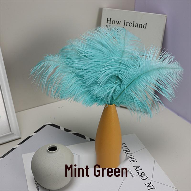 Ostrich Feathers 20-25cm for Stage Performance, Handmade DIY Jewelry, and Decoration Materials