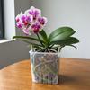 Square Orchid Plant Grow Pot with Trays Plant Nursery Pot Aeration Plant Pot Indoor Orchid Growing