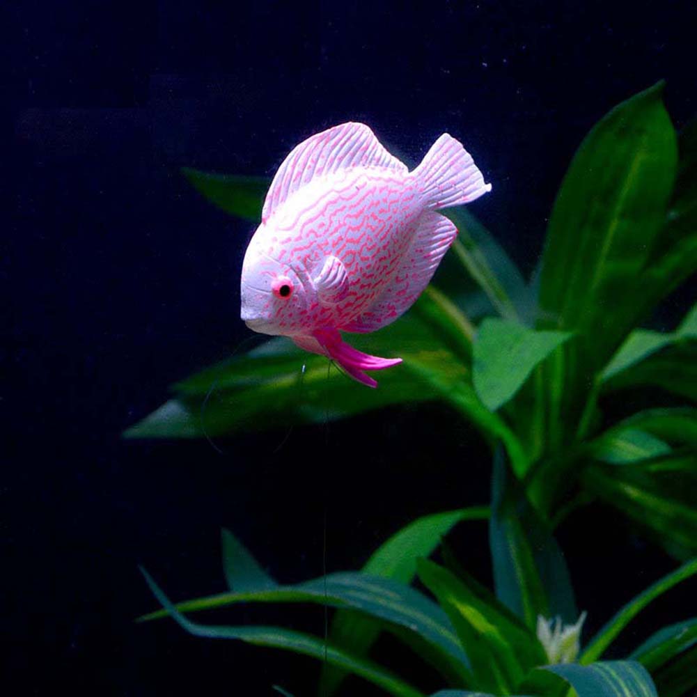 Simulation Luminous Fish Artificial Ornaments With Suction Cups For Aquarium Fish Tank Landscaping Decoration