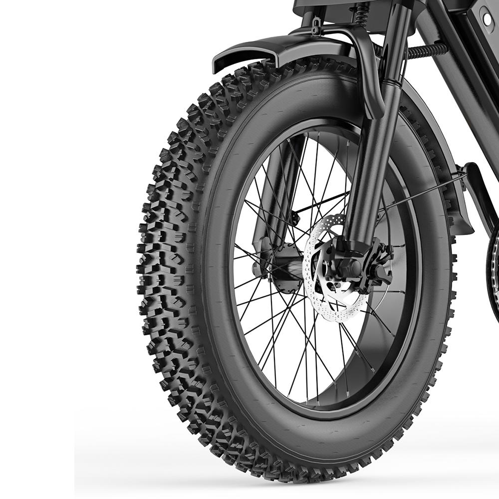 HEADEER BK20 Adult E-Bike 750W Motor 48V20AH Battery Max Load 150KG 20 Inch Fat Tire All Terrain Mountain Road Snow Beach Commuting E-Bicycle Adults