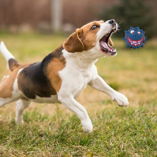 Yıkılmaz Köpek Çiğneme Oyuncakları Büyük Köpekler Gıcırtılı Diken Topu Evcil Hayvan Lateks Oyuncak Dahili Ses Diş Bakımı Komik Karikatür Çiğneme