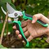LIUSHADUOLA Stainless Steel Professional Gardening Shears Pruning Branches Fruit Trees Flowers Household Pruning Tools Shears