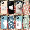 Capa de celular para cachorro Spitz japonês para iPhone Samsung Galaxy Redmi Xiaomi Oppo OnePlus Note SA 7 8 9 10 11 12 13 14 20 21 22 23 53 54 Pro Max Plus Ultra