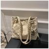 Autumn and Winter New Large-capacity Bag Women's Casual Foreign-style Canvas Shoulder Bag 2024 Texture Class Commuter Tote Bag