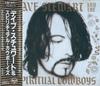 CD DAVE STEWART SPIRITUAL KA DAVE ST  Dave Stewart  The Spiritual Cowboy BVCP13 RCA 1990 Japan Dance  Electronica Used