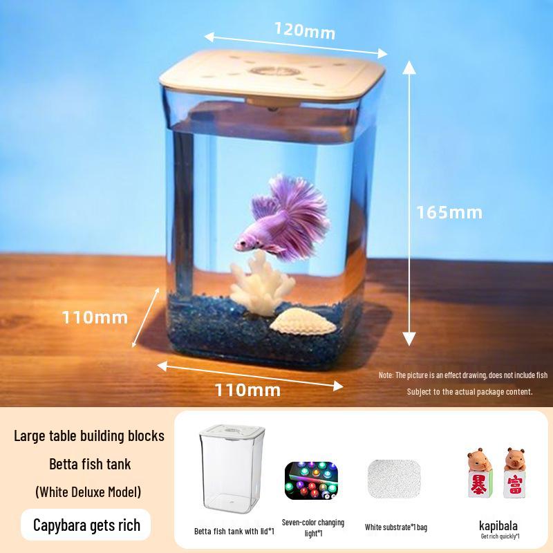 Siamese Fighting Fish Desktop Mini Tank - Betta Micro-Landscape Aquascaping Aquarium Decor.