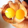 Unbreakable Anti Stress Ball Venting Balls Novelty Fun Splat Eggs Squeeze Stresses Reliever Toy